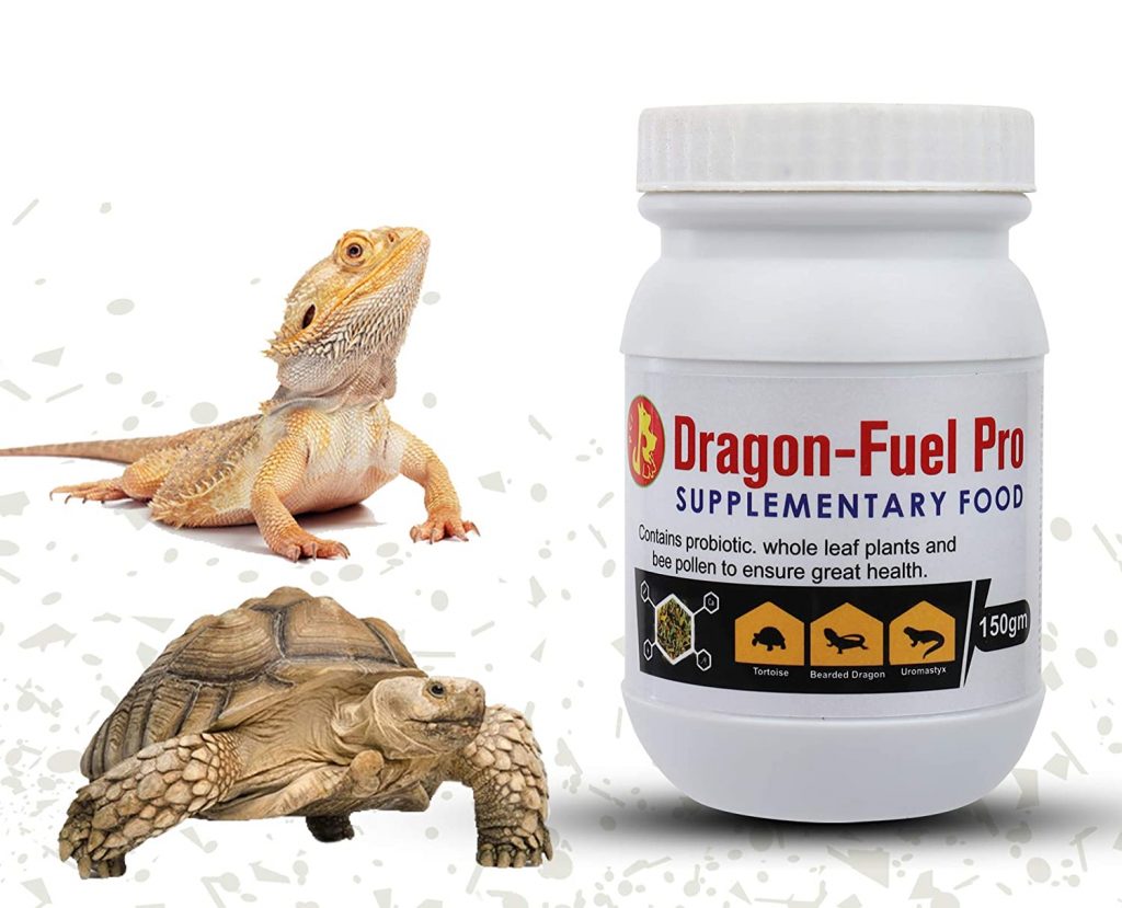 Pet Care International Dragon Fuel Pro