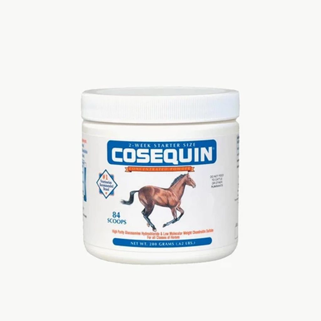 Nutramax Cosequin Original Joint Health Supplement